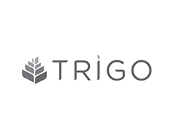 Grupo Trigo