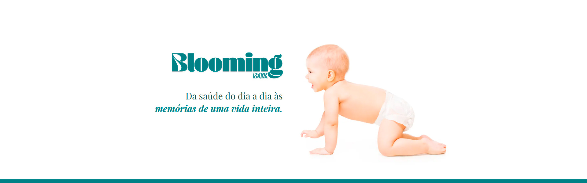 Blooming Box | Pura Comunicação